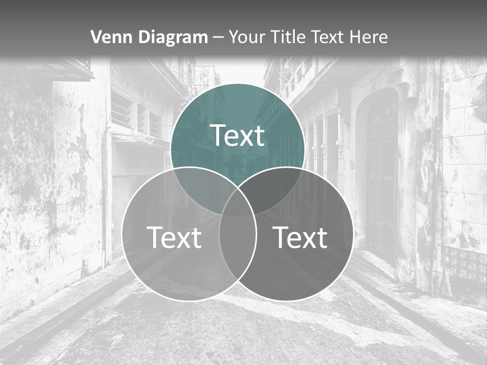 White Street Architecture PowerPoint Template