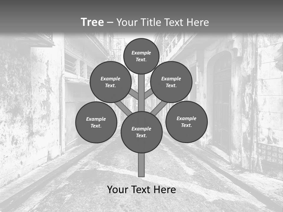 White Street Architecture PowerPoint Template