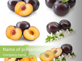 Sweet Plum Collection PowerPoint Template