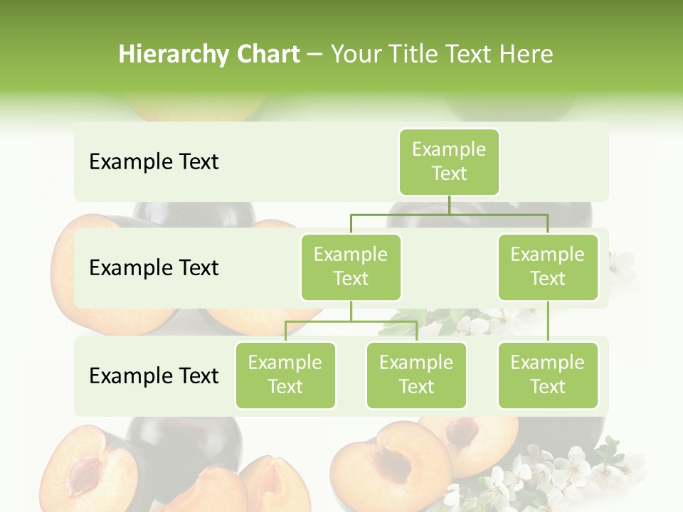 Sweet Plum Collection PowerPoint Template