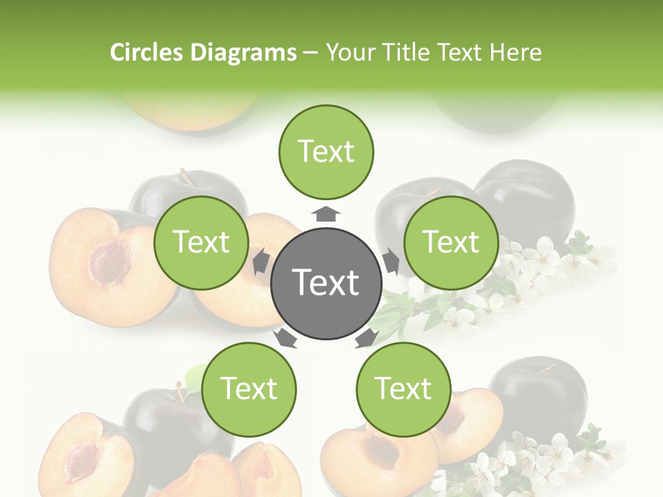 Sweet Plum Collection PowerPoint Template