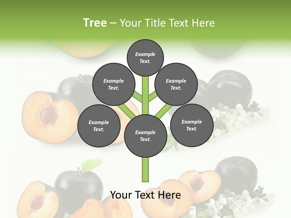 Sweet Plum Collection PowerPoint Template