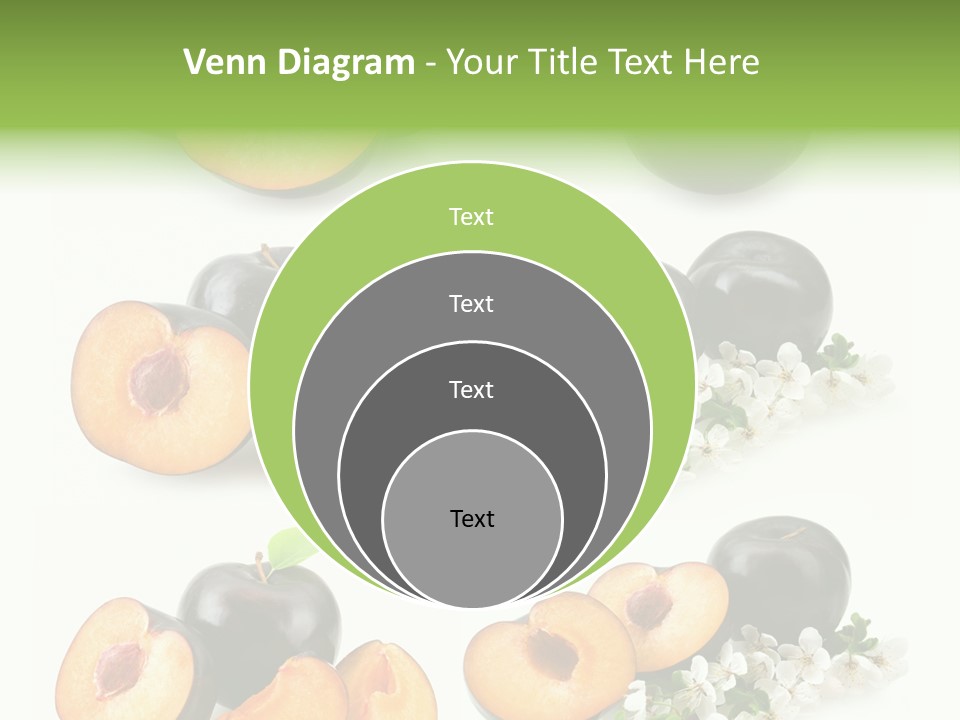 Sweet Plum Collection PowerPoint Template