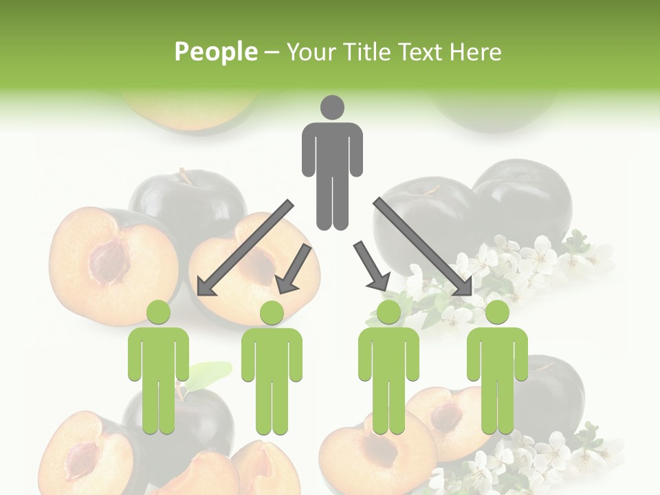 Sweet Plum Collection PowerPoint Template