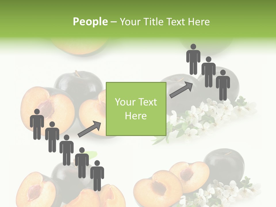 Sweet Plum Collection PowerPoint Template