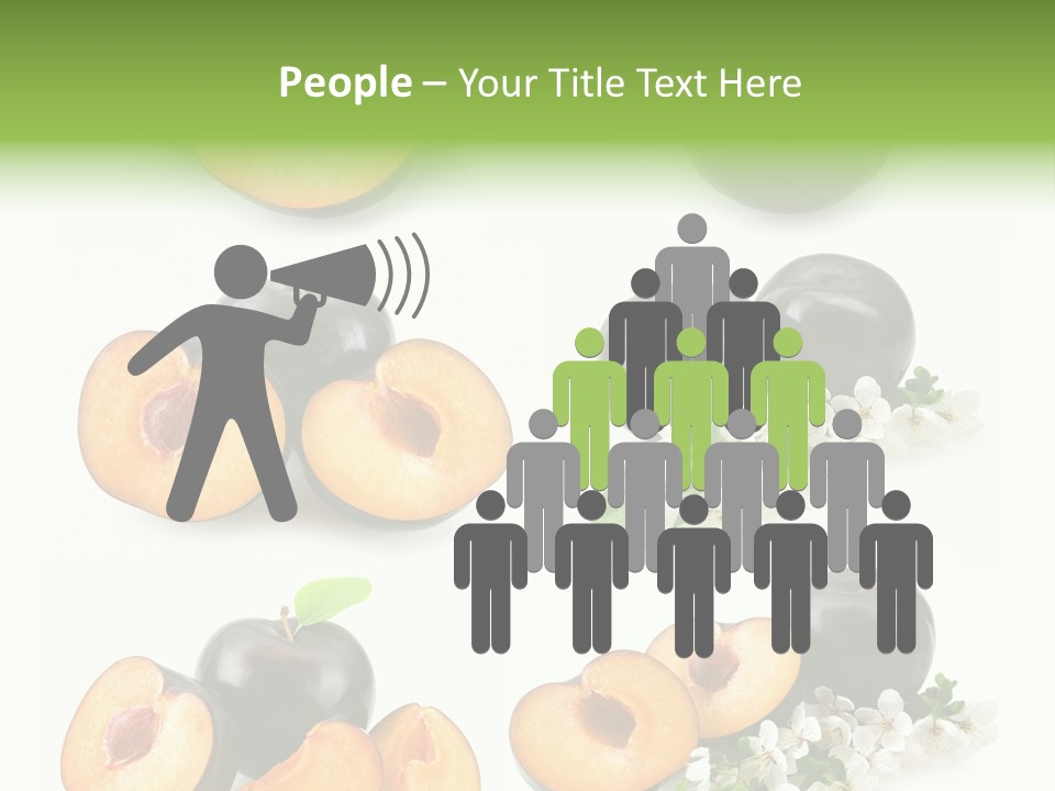 Sweet Plum Collection PowerPoint Template