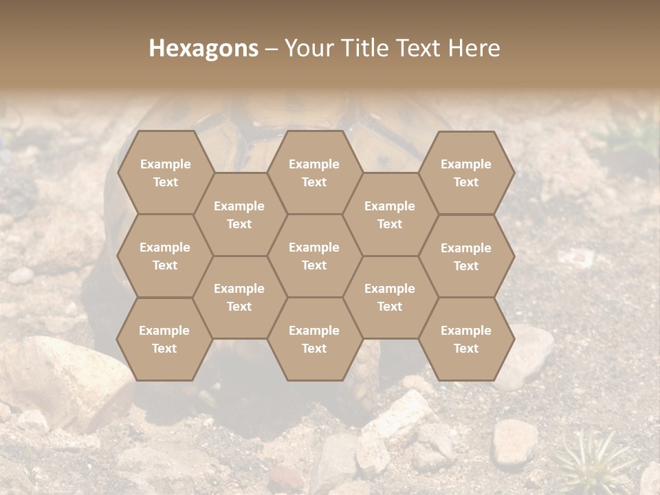 Wildlife Yellowish Wilderness PowerPoint Template