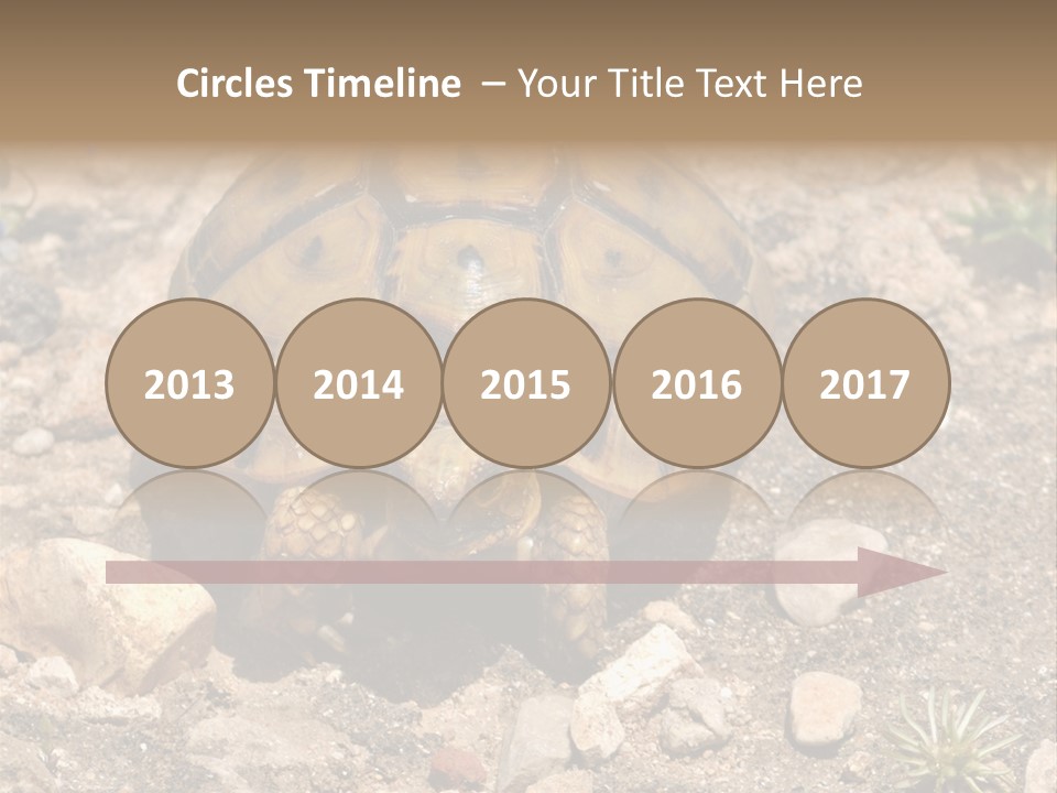 Wildlife Yellowish Wilderness PowerPoint Template