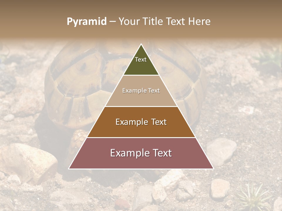Wildlife Yellowish Wilderness PowerPoint Template