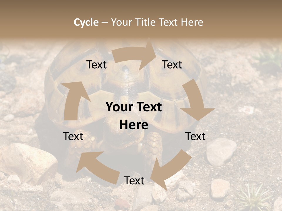 Wildlife Yellowish Wilderness PowerPoint Template