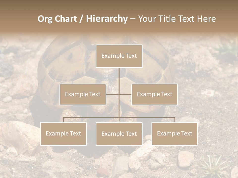 Wildlife Yellowish Wilderness PowerPoint Template