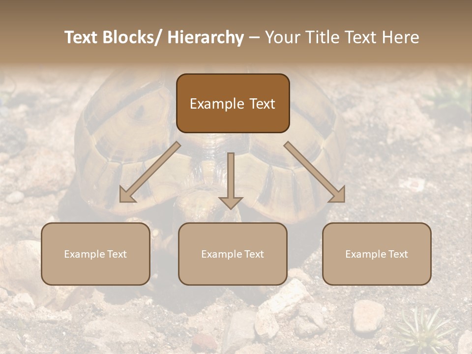 Wildlife Yellowish Wilderness PowerPoint Template