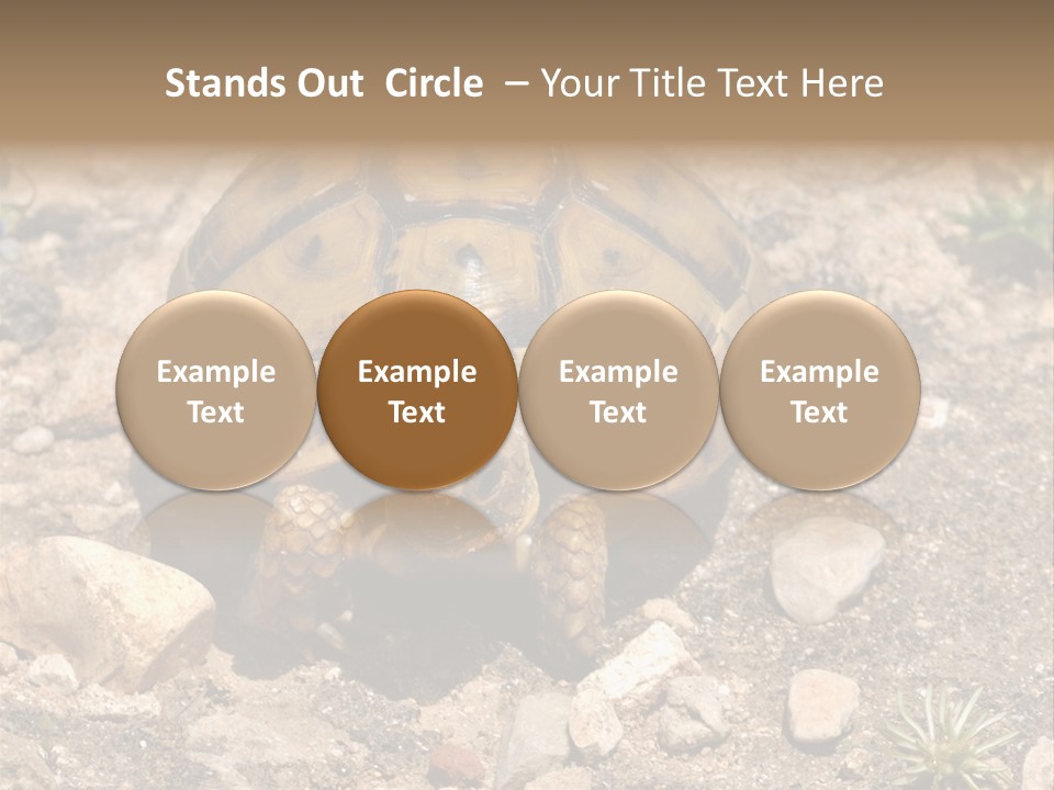 Wildlife Yellowish Wilderness PowerPoint Template