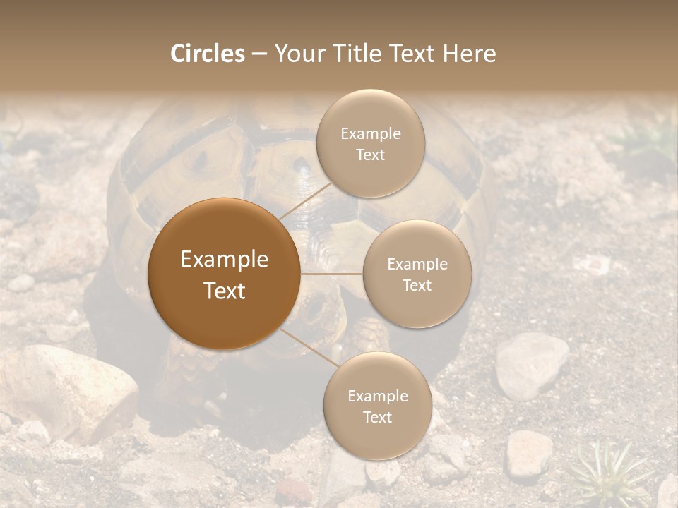 Wildlife Yellowish Wilderness PowerPoint Template