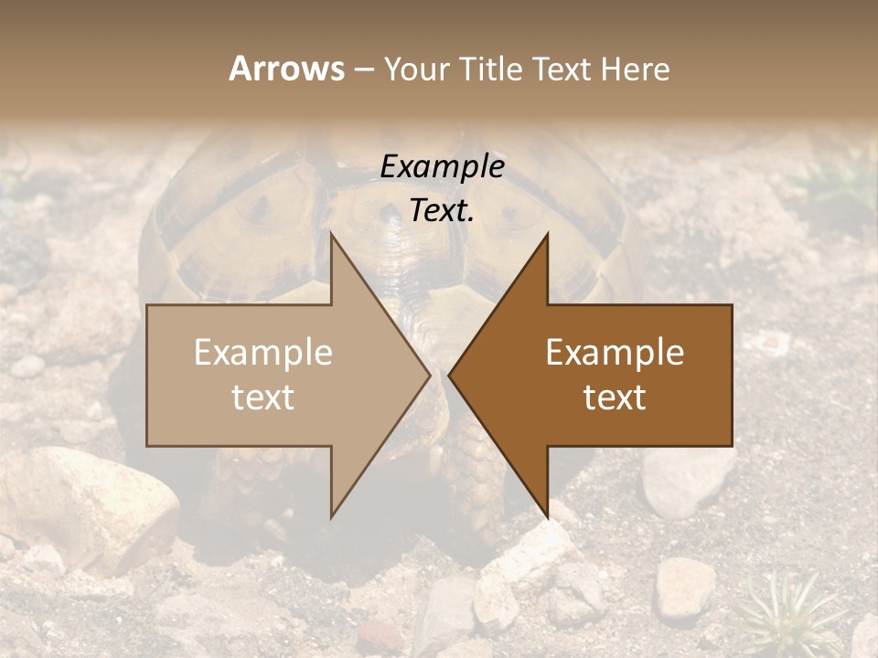 Wildlife Yellowish Wilderness PowerPoint Template