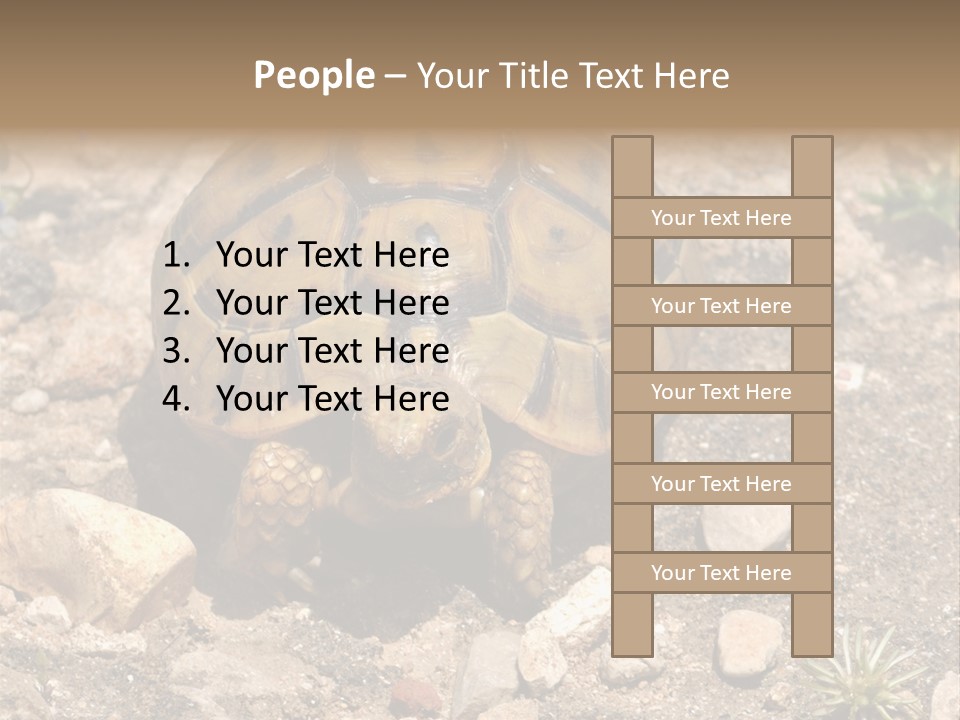 Wildlife Yellowish Wilderness PowerPoint Template