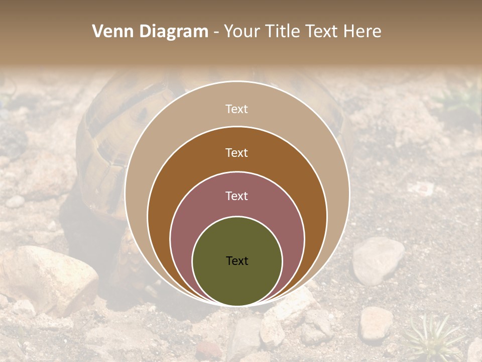 Wildlife Yellowish Wilderness PowerPoint Template