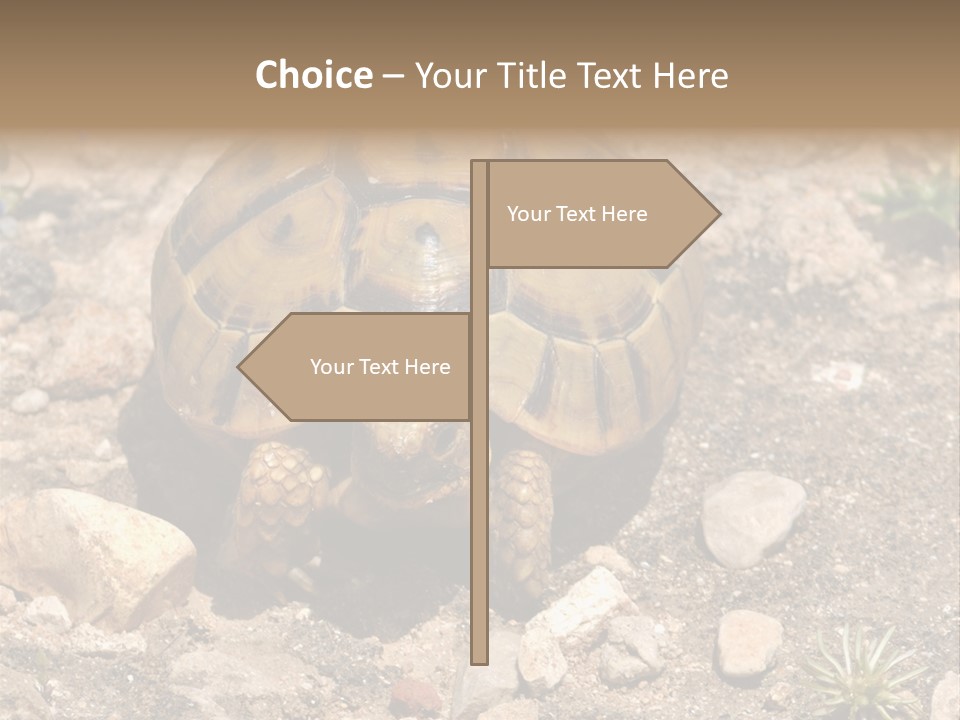 Wildlife Yellowish Wilderness PowerPoint Template