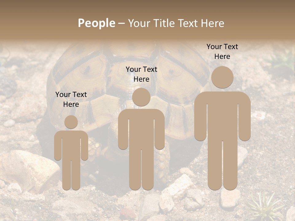 Wildlife Yellowish Wilderness PowerPoint Template