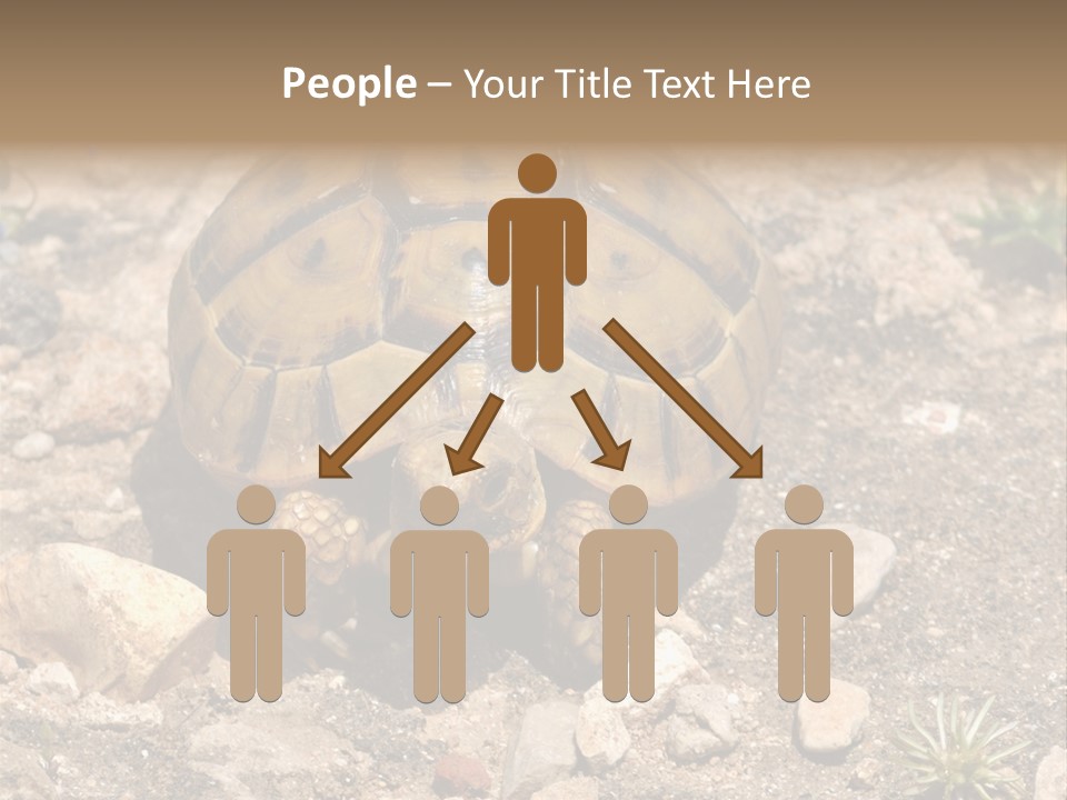 Wildlife Yellowish Wilderness PowerPoint Template