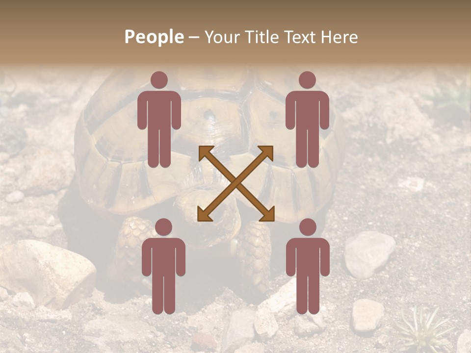 Wildlife Yellowish Wilderness PowerPoint Template