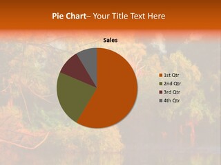 Surface Canvas Brown PowerPoint Template