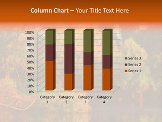 Surface Canvas Brown PowerPoint Template