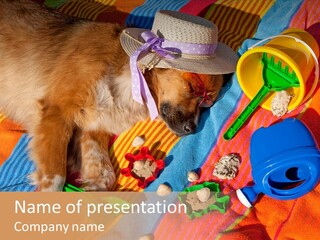 Hold Glasses Animal PowerPoint Template
