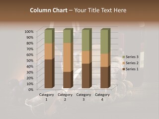 Cut Hard Sausage PowerPoint Template