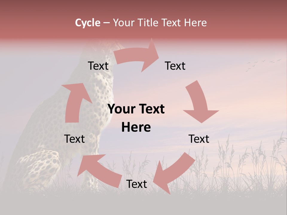 Safari Ears Cheetah PowerPoint Template