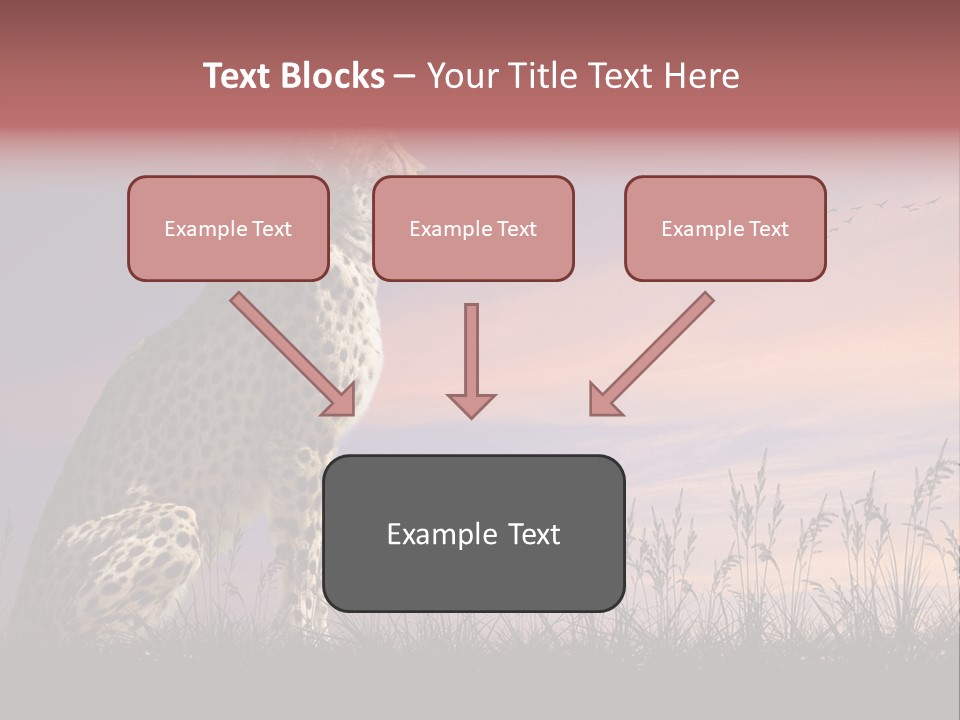 Safari Ears Cheetah PowerPoint Template