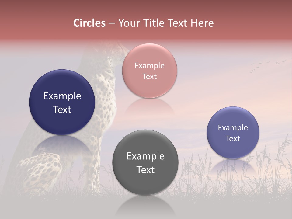 Safari Ears Cheetah PowerPoint Template