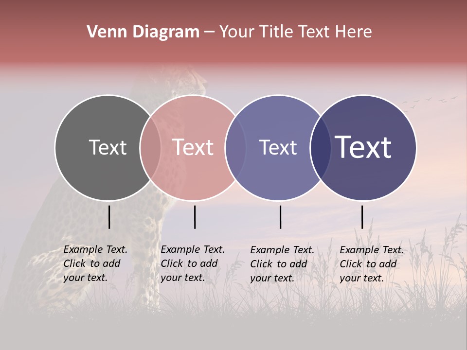 Safari Ears Cheetah PowerPoint Template