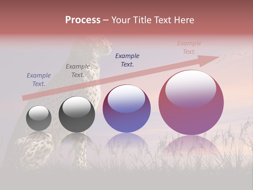 Safari Ears Cheetah PowerPoint Template