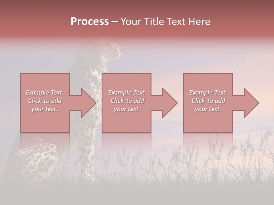 Safari Ears Cheetah PowerPoint Template