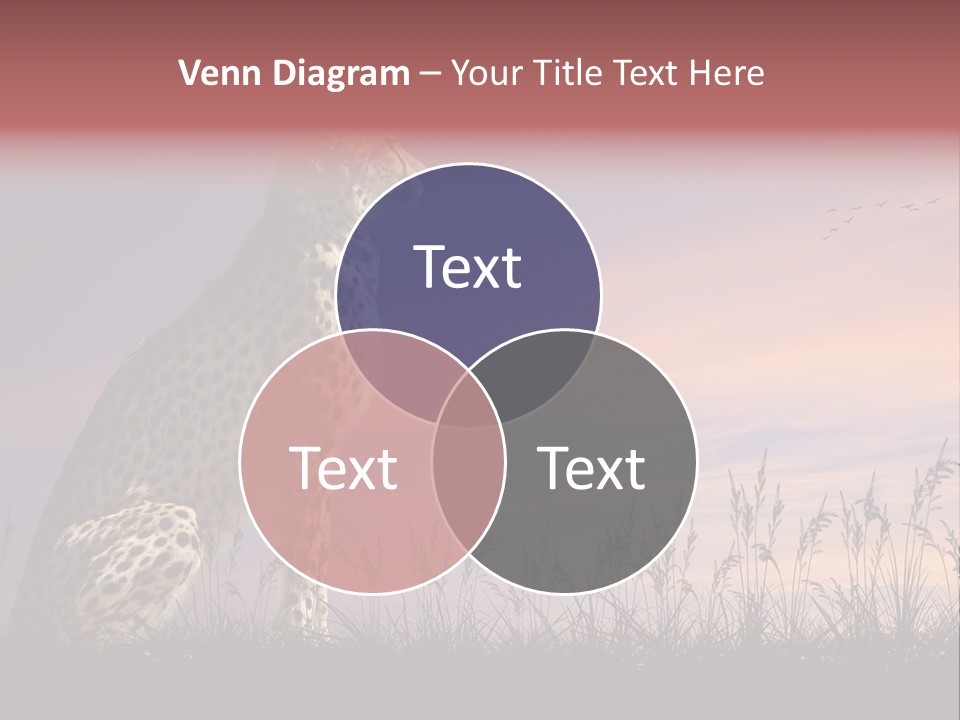 Safari Ears Cheetah PowerPoint Template