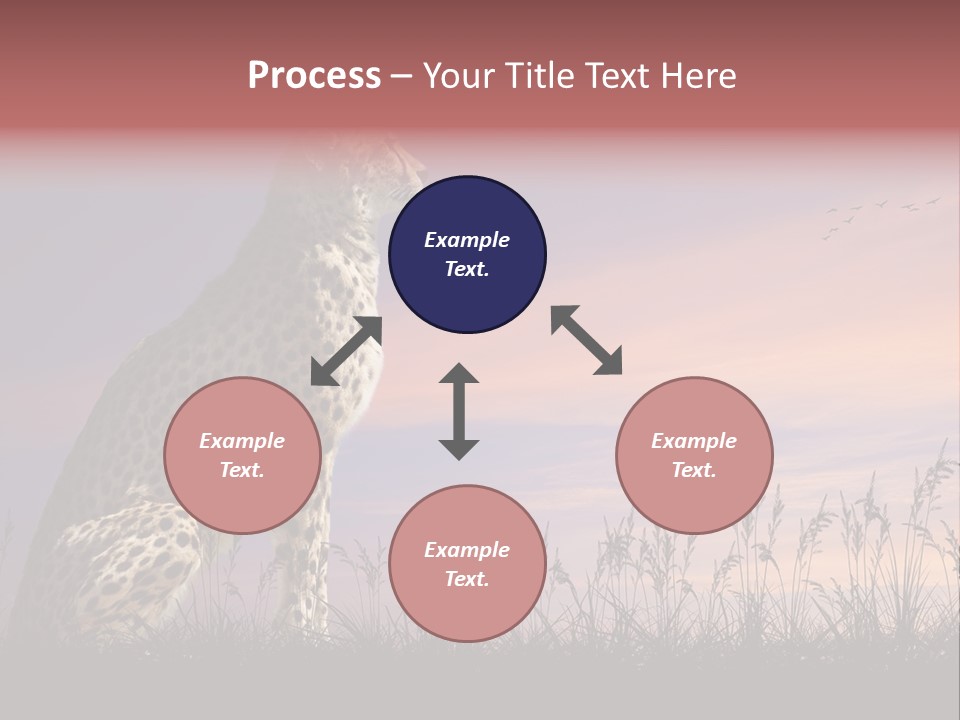 Safari Ears Cheetah PowerPoint Template