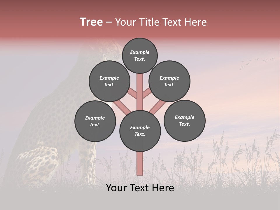 Safari Ears Cheetah PowerPoint Template