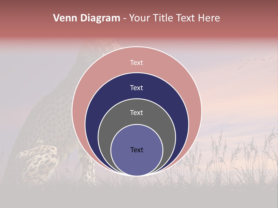 Safari Ears Cheetah PowerPoint Template