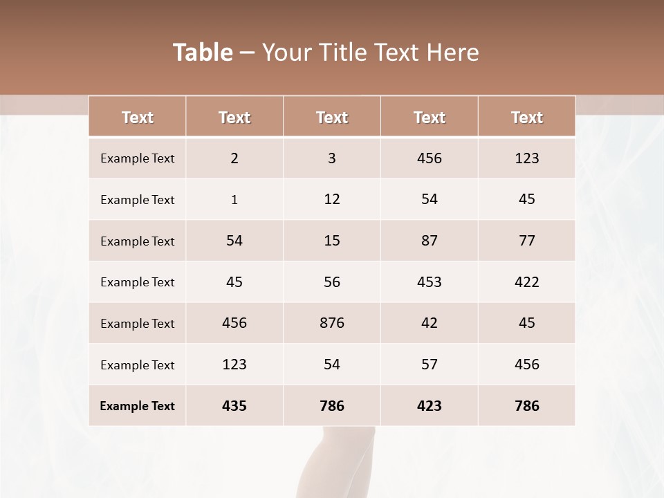 Lady Swimwear Background PowerPoint Template