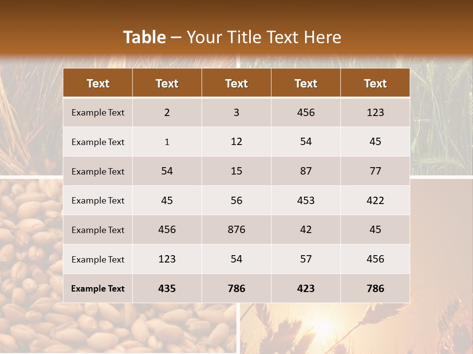 Communication Teamwork Boardroom PowerPoint Template