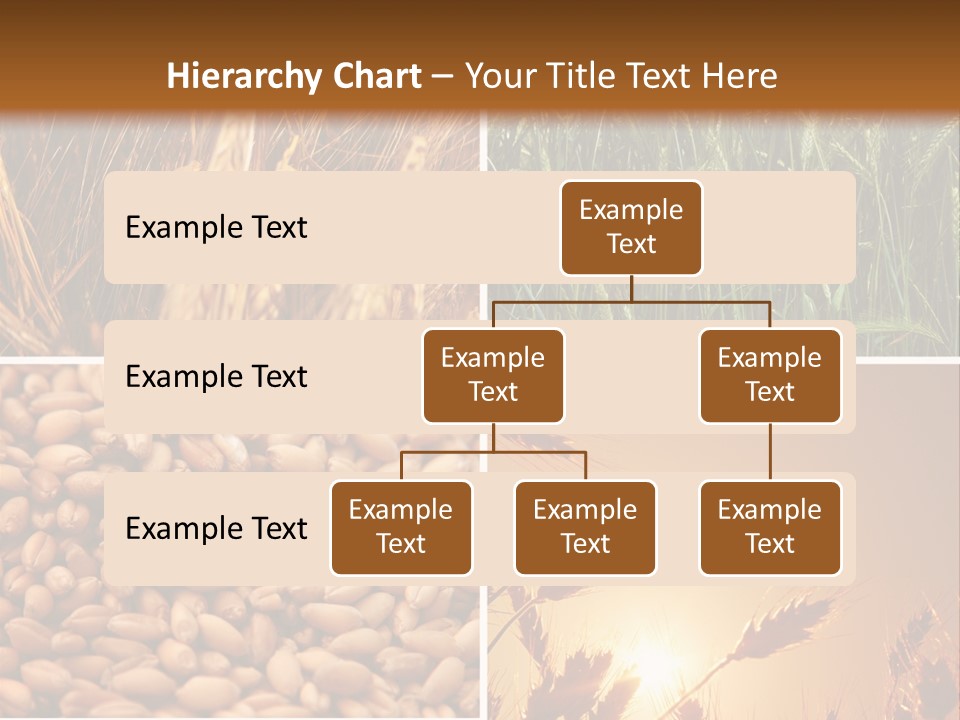 Communication Teamwork Boardroom PowerPoint Template