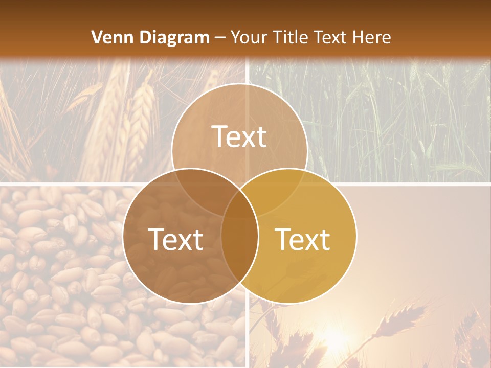 Communication Teamwork Boardroom PowerPoint Template