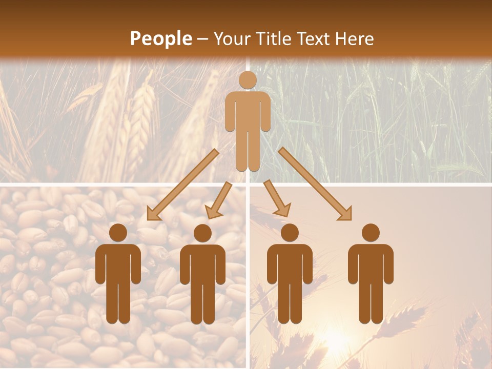 Communication Teamwork Boardroom PowerPoint Template