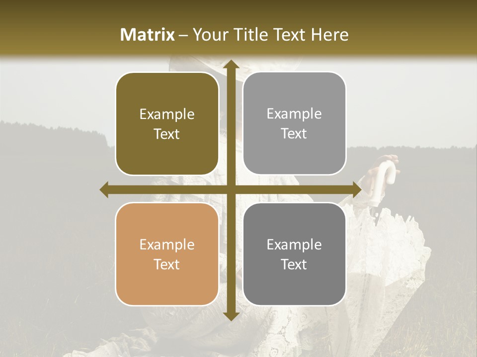 Dress Feminine Retro PowerPoint Template