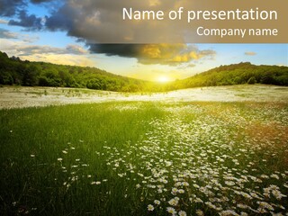 Spring Landscape Sky PowerPoint Template