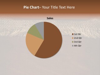 Old Pattern Frame PowerPoint Template