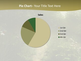 Seasonal Landscape Fantasy PowerPoint Template