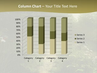 Seasonal Landscape Fantasy PowerPoint Template