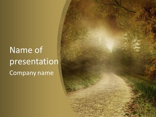 Sunset Background Forest PowerPoint Template